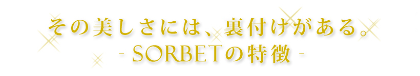 その美しさには、裏付けがある。 -SORBETの特徴-