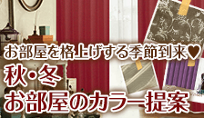 秋冬カーテンカラー特集