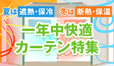 一年中快適