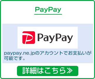 PayPay