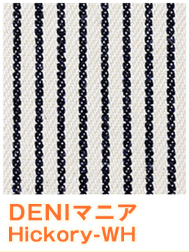 DENIマニア ストライプ柄