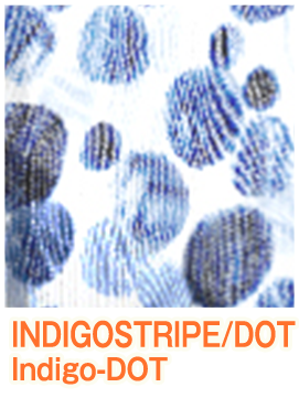 INDIGOSTRIPE ドット柄レース